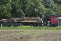 Übergangsphase für Umstellung der Holzvermarktung in NRW verlängert