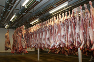 Fleischwirtschaft legt der Bundesregierung 5-Punkte-Plan vor