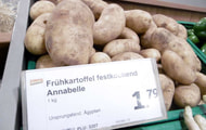 Dennree: Frühkartoffeln aus Ägypten billiger als heimische Ware