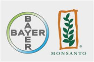 Monsanto soll Journalisten und Pflanzenschutzkritiker bespitzelt haben