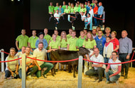 Wagyu-Rind für 41.000 € verkauft